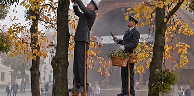 Ta świąteczna ozdoba powoli zabija nasze drzewa. Czeka nas katastrofa?