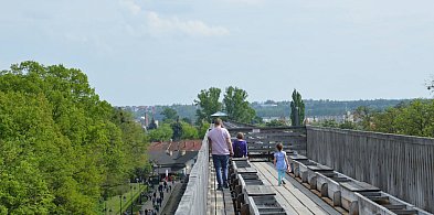 Nie tylko Busko i Muszyna: co rankingi mówią o Ciechocinku a czego nie?