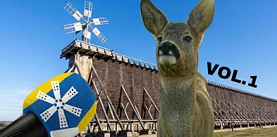 Zobacz 10 absurdalnych pomysłów na Bajkowy Ciechocinek, które ...