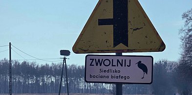 EKO-ALERT: Dziki zwierz znów na językach