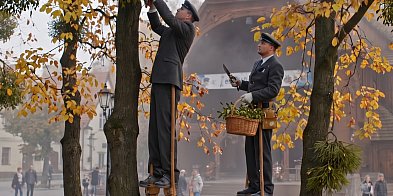 Powoli zabija nasze drzewa. Czeka na katastrofa?
