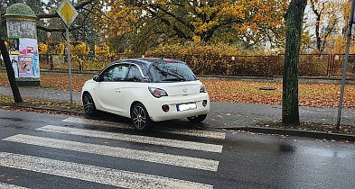 Hejt w stronę sygnalistów. Dlaczego broni się tych, którzy łamią przepisy?-13799