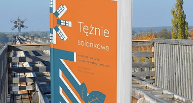 Tężnie solankowe pod lupą nauki i serca - recenzja Michała Gajewskiego