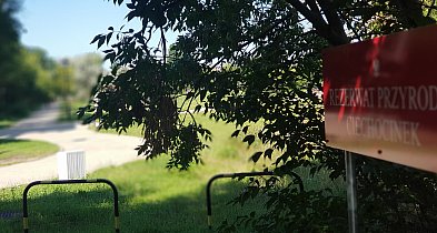 Medialne szambo w uzdrowisku. Kto ogarnie tę stajnię Augiasza?