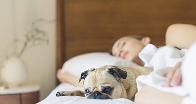 Poduszki Tempur – komfort snu na najwyższym poziomie