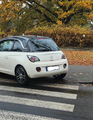 Hejt w stronę sygnalistów. Dlaczego broni się tych, którzy łamią przepisy?-13799