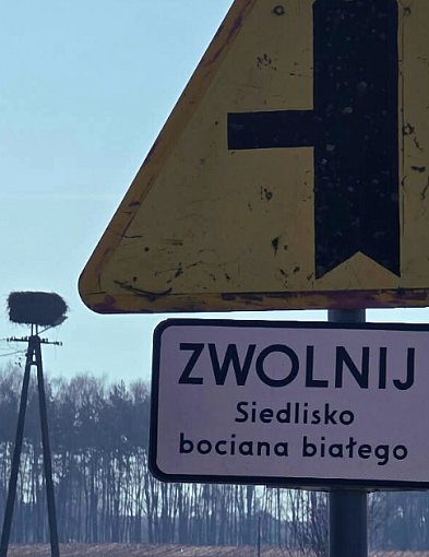 EKO-ALERT: Dziki zwierz znów na językach a ludność bije na alarm!