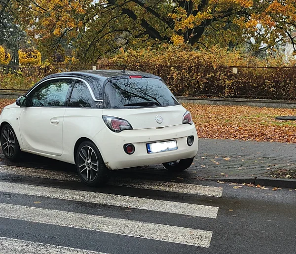 Hejt w stronę sygnalistów. Dlaczego broni się tych, którzy łamią przepisy?-13799