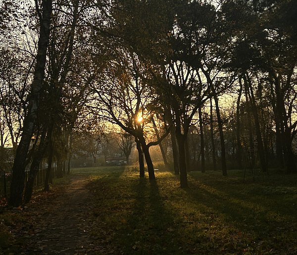 Nadchodzi najkrótszy dzień w 2025 roku. Sprawdź, kiedy przypadnie-14162