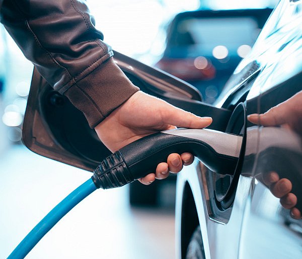 Coraz częściej dochodzi do takich kradzieży. Powody zaskakują