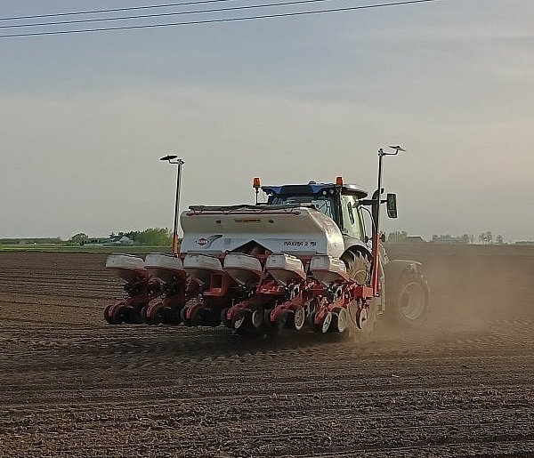 „Podpisz, że lubisz obornik”. Nowe prawo zmieni życie też pod Ciechocinkiem