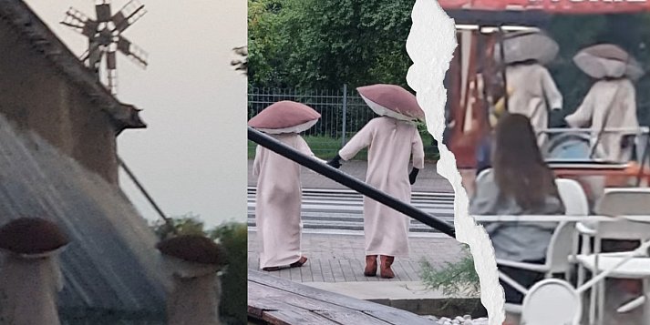 [WIDEO] Kim jest tajemnicza Para Grzybów, która tańczyła na Szachownicy?