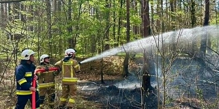 Dramat na Roztoczu: Setki hektarów w ogniu i śmierć pilota. Czy Kujawy wyciągną wnioski?