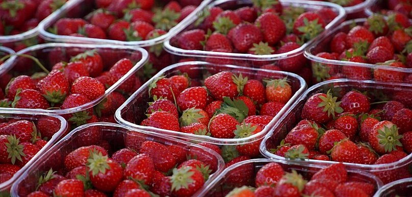 Pierwsze polskie truskawki już są. Ceny wyraźnie wyższe niż rok temu