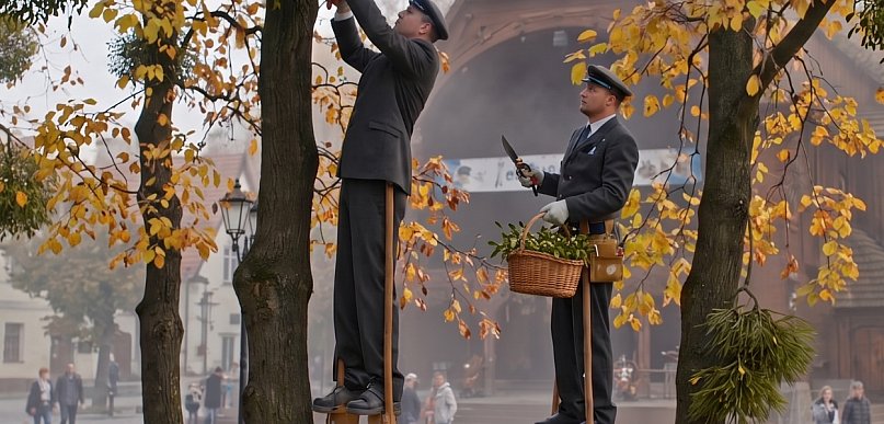 Ta świąteczna ozdoba powoli zabija nasze drzewa. Czeka nas katastrofa?