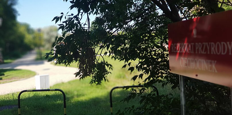 Ciechocinek: Medialne szambo w uzdrowisku. Kto ogarnie tę stajnię Augiasza?