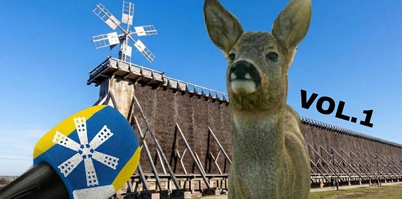 Zobacz 10 absurdalnych pomysłów na Bajkowy Ciechocinek, które ...