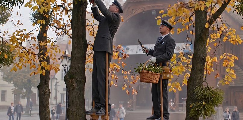 Ta świąteczna ozdoba powoli zabija nasze drzewa. Czeka nas katastrofa?