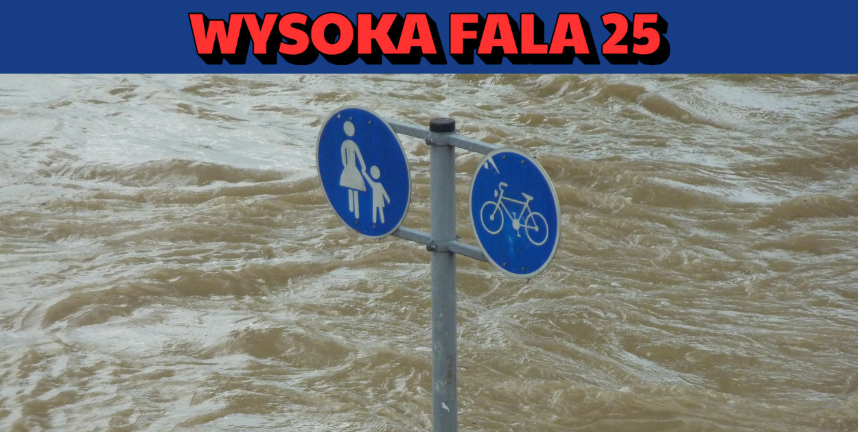 grafika ilustracyjna 