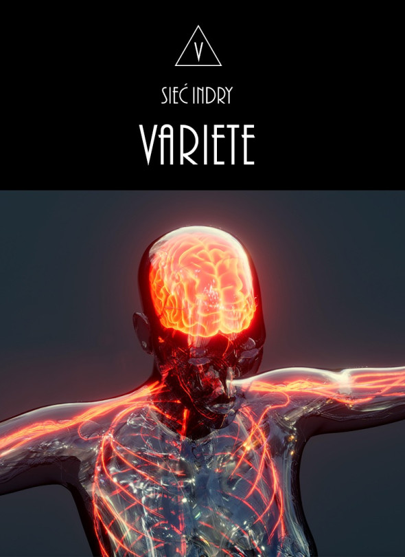 Koncert Variete w Aleksandrowie
