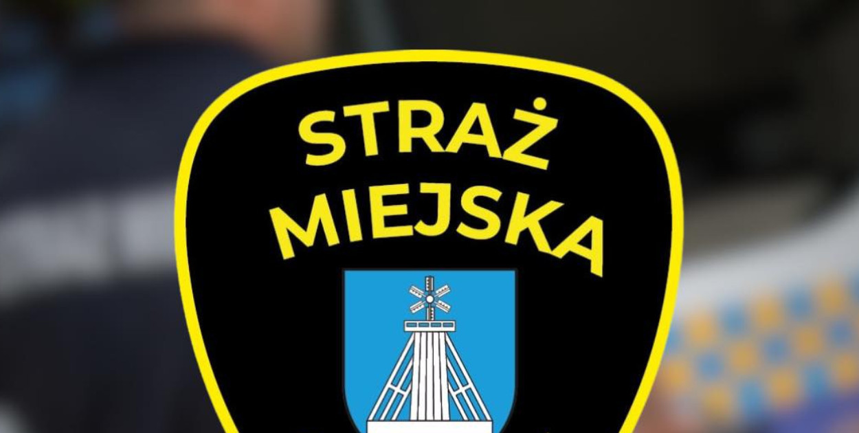 grafika ilustracyjna