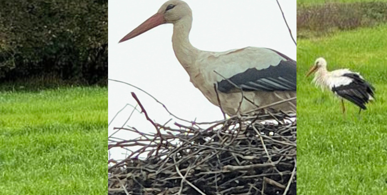 ciechocinek.biz - zdjęcie nadesłane