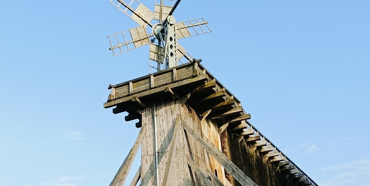 fot. Michał Powsinoga Gajewski