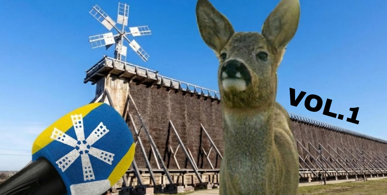 Zobacz 10 absurdalnych pomysłów na Bajkowy Ciechocinek, które ...