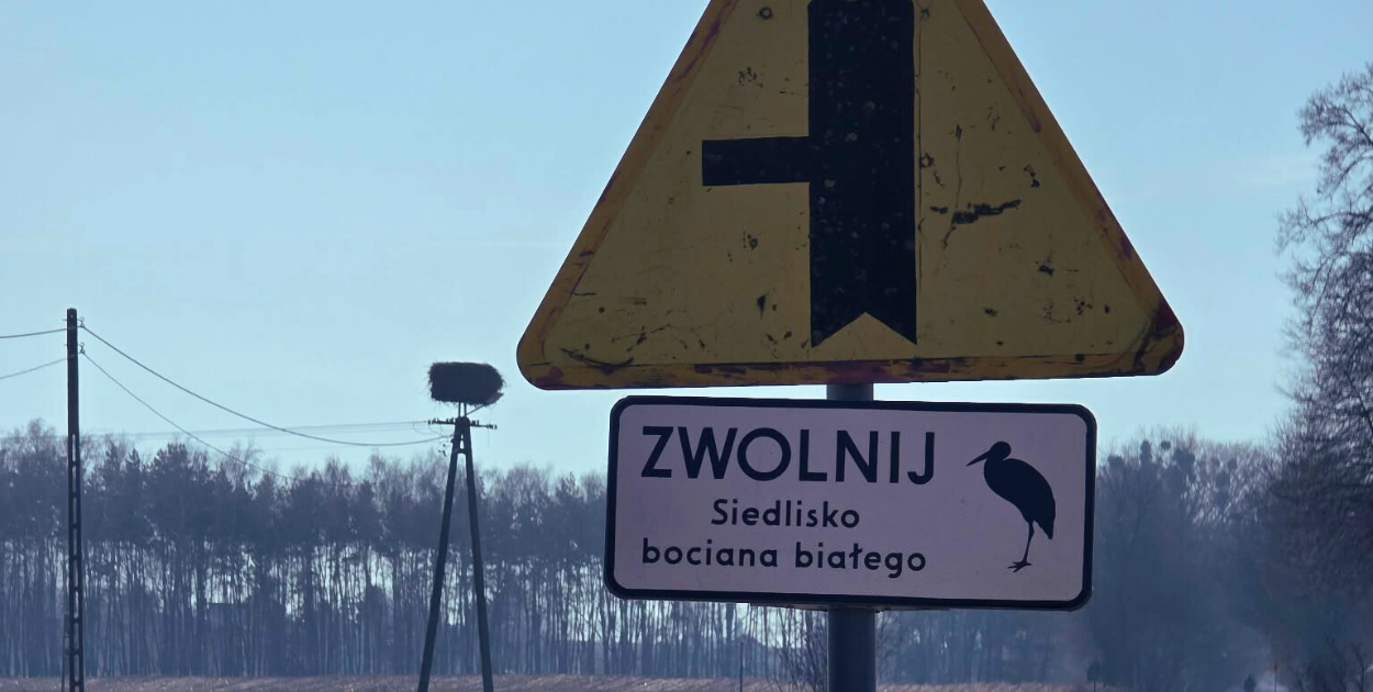 EKO-ALERT: Dziki zwierz znów na językach a okoliczna ludność bije na alarm!